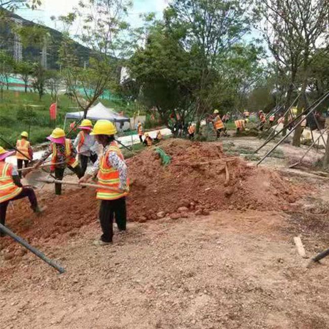 道路绿化施工设计及养护